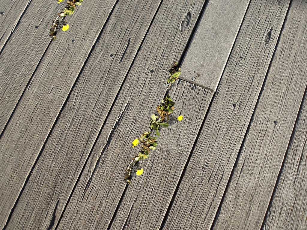What To Put Under Deck To Prevent Weeds - Backyard University